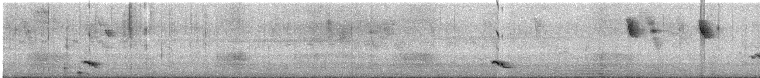 Troglodyte à long bec - ML638254615