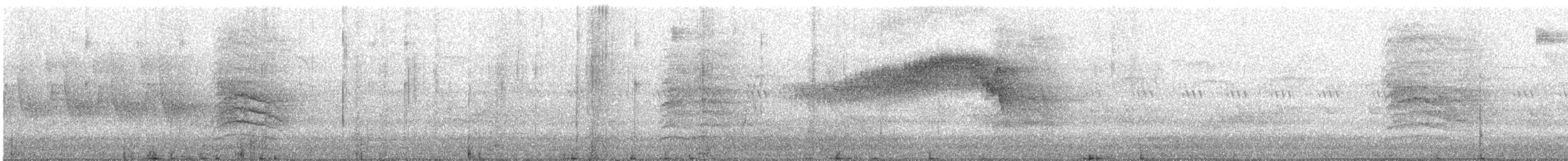 Northern Parula - ML638255711