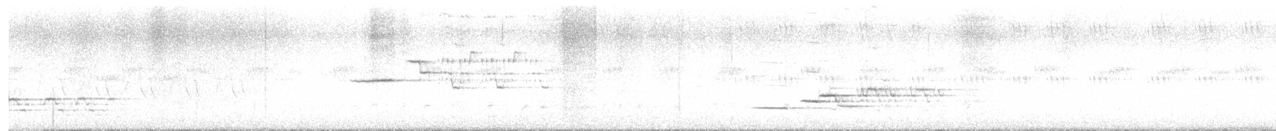 Einsiedler-Musendrossel - ML638256283