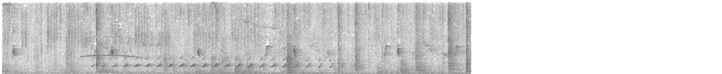 Peruvian Pygmy-Owl - ML638256797