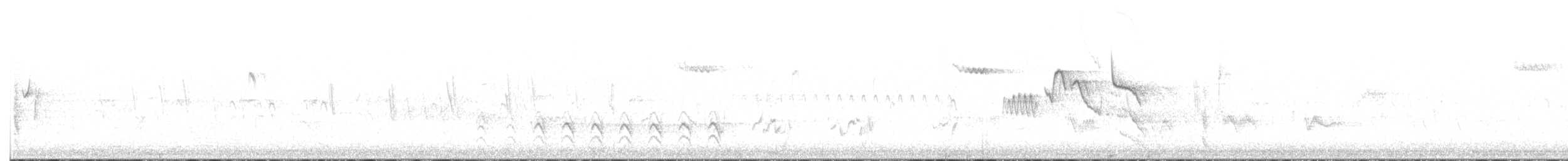 Brown Creeper - ML638256839