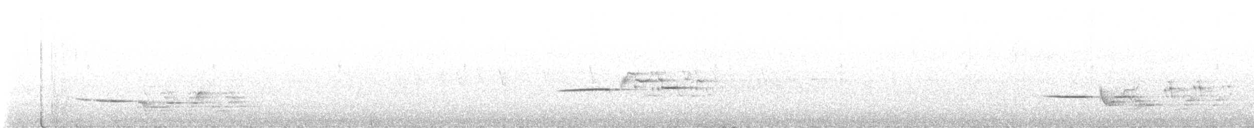 Einsiedler-Musendrossel - ML638256900