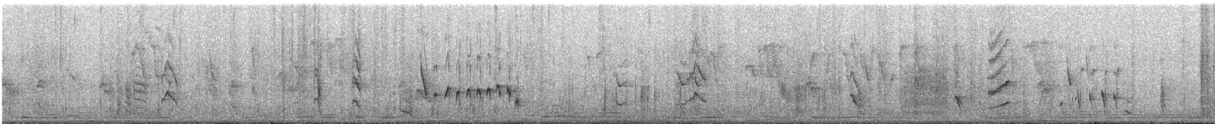 Austral Blackbird - ML638257582