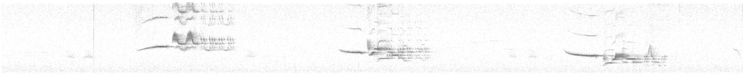 Einsiedler-Musendrossel - ML638257633