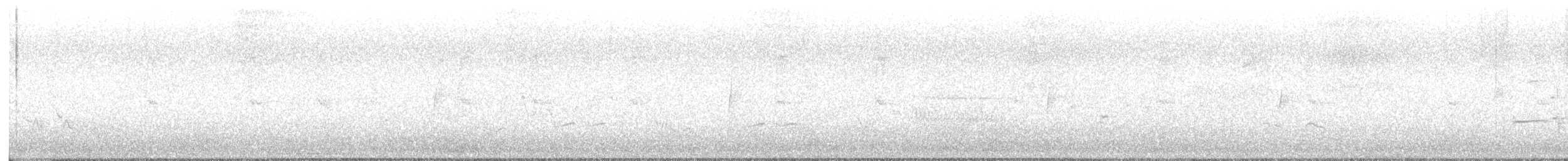 Least Flycatcher - ML638257683