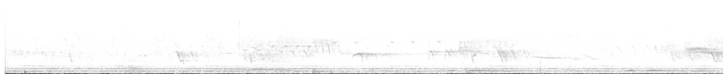 Einsiedler-Musendrossel - ML638258019
