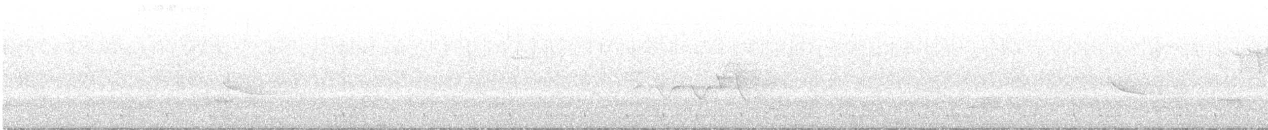 Hooded Warbler - ML638258157
