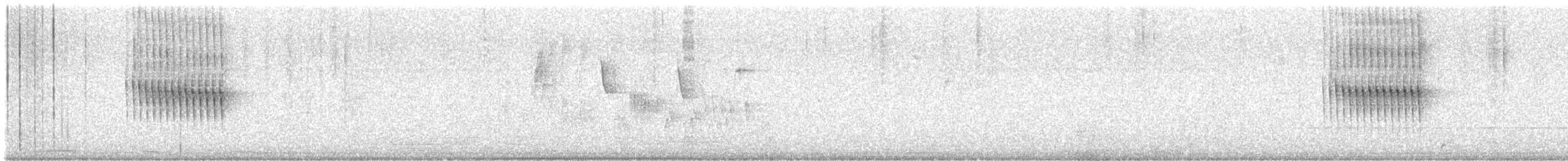 Thorn-tailed Rayadito - ML638258166