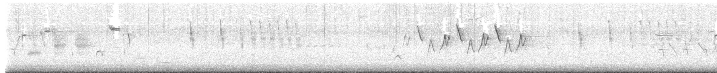 Sedge Wren - ML638259356