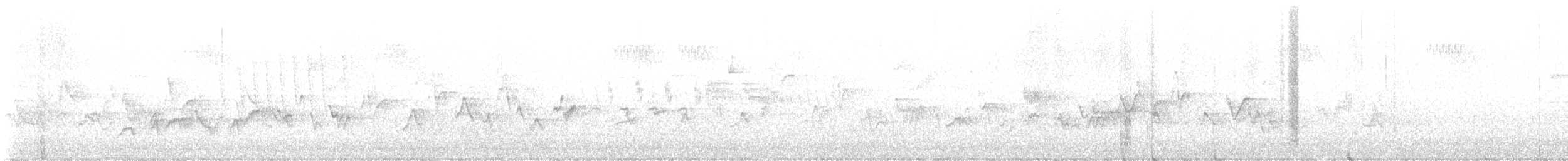 Chipping Sparrow - ML638259894