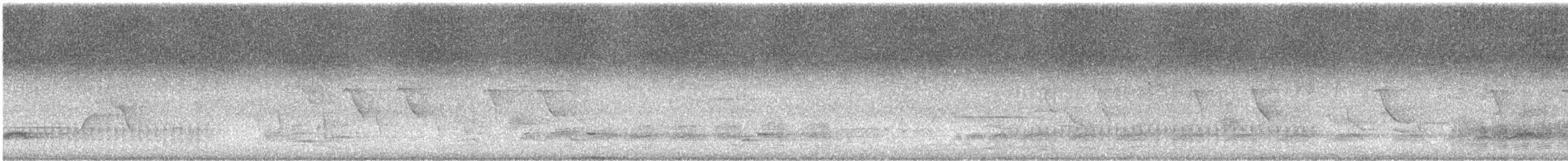 Fairy Pitta - ML638261852