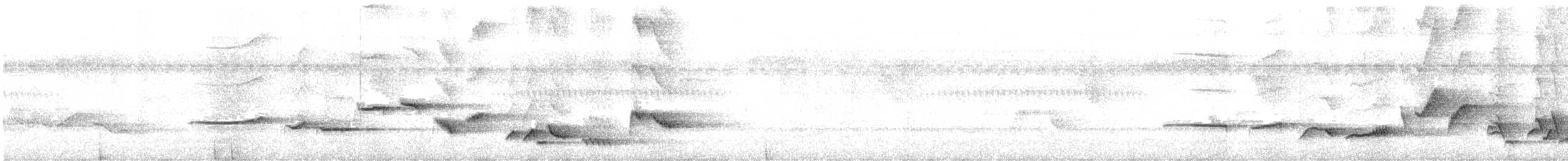 White-rumped Shama - ML638261985
