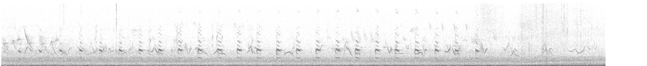Wilson's Snipe - ML638263029
