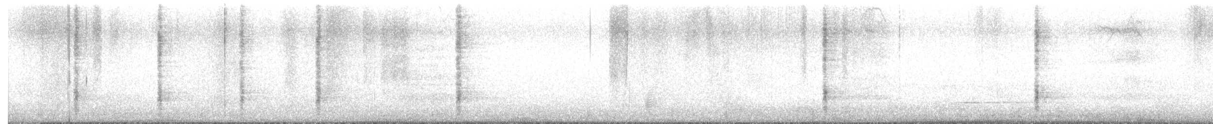 Großschwanzgrackel - ML638263387