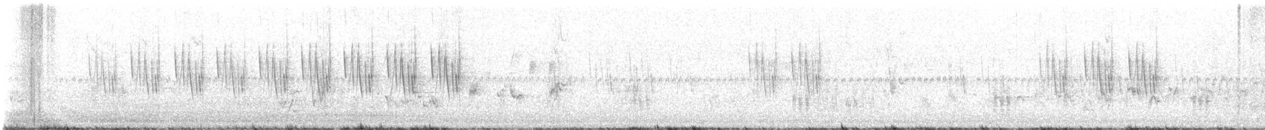 Striped Prinia - ML638266074