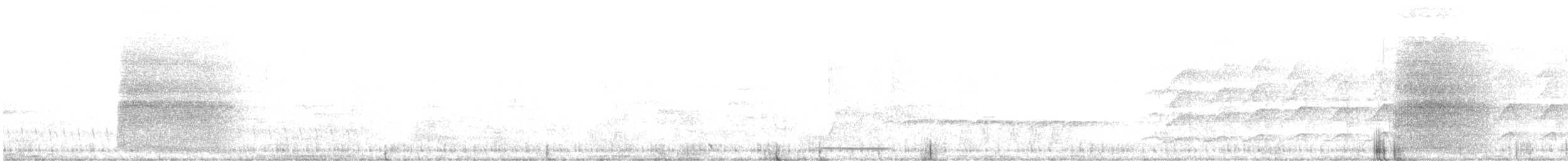 Satin Bowerbird - ML638266168