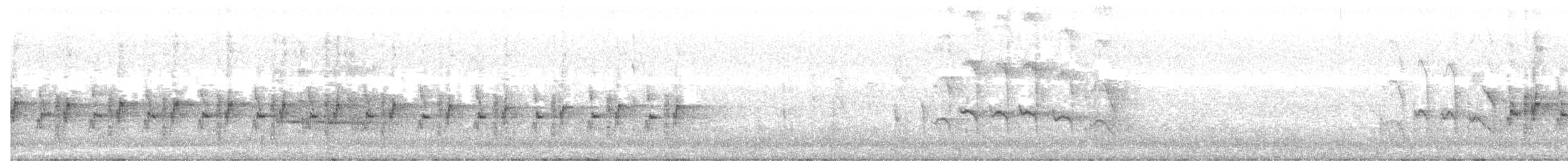 Tasmanya Balkuşu - ML638267350