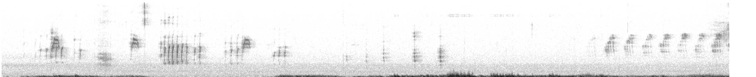 White-winged Snowfinch - ML638269067
