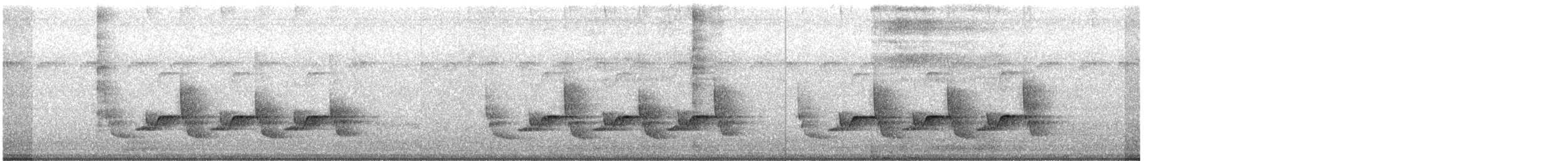 チャバラマユミソサザイ - ML638269444