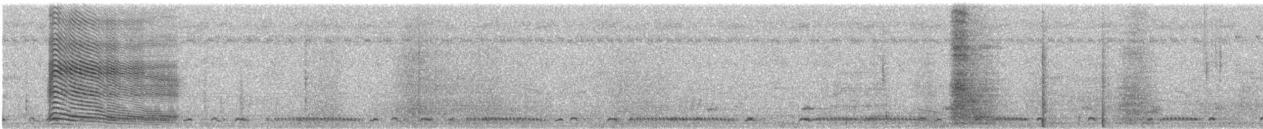 Gray Go-away-bird - ML638269505