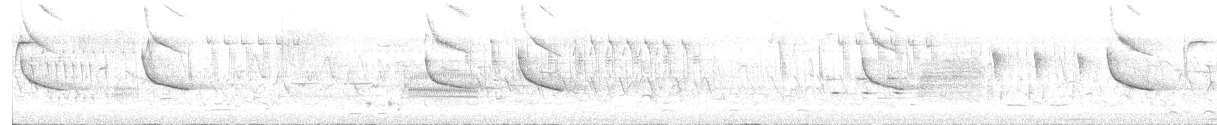 Sedge Wren - ML638270120