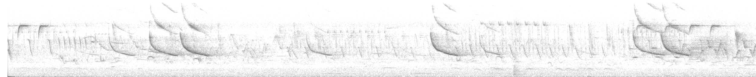 Sedge Wren - ML638270319