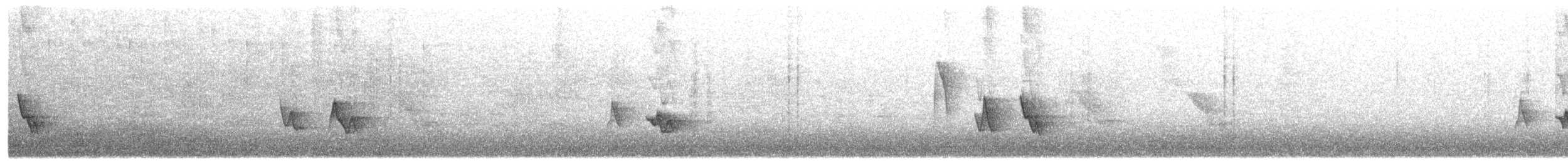 Black-whiskered Vireo - ML638272452