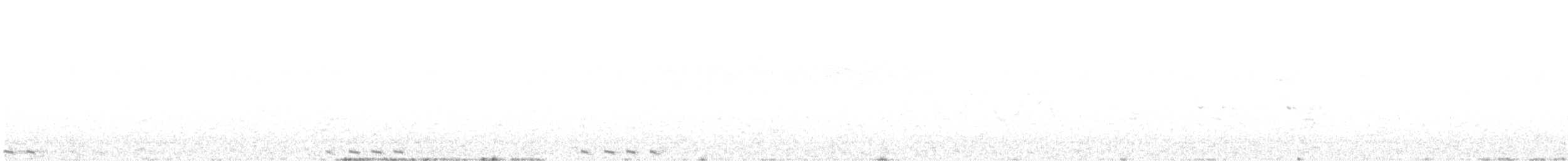Black-billed Cuckoo - ML638272818