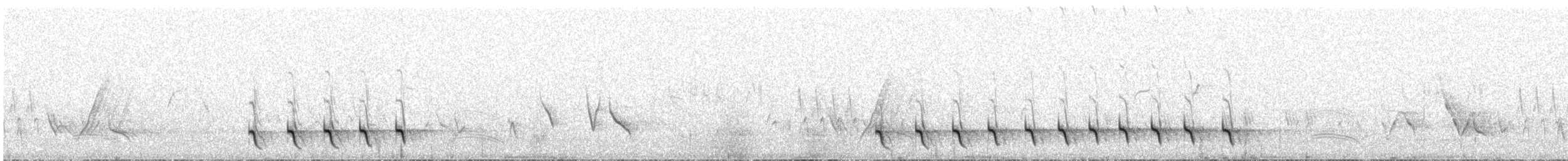 Patagonian Mockingbird - ML638273189