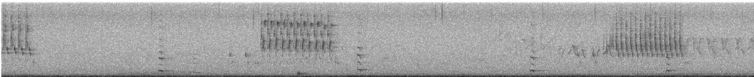 Common Gallinule - ML638275053