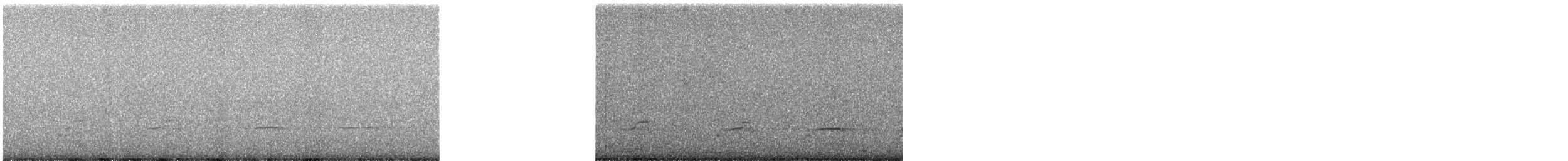 ハクトウワシ - ML638276456