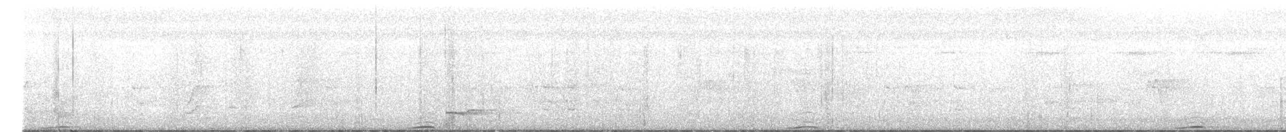 Whooping Motmot - ML638277074