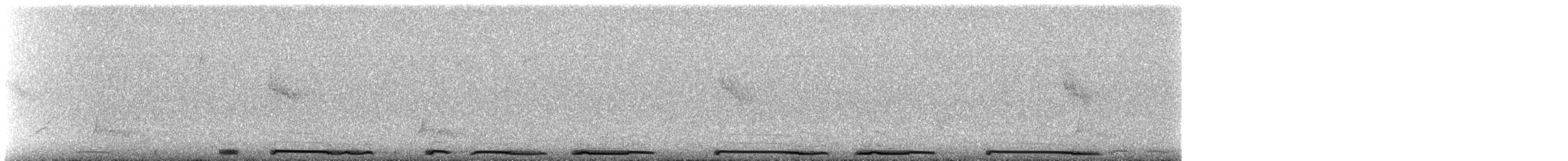 White-winged Dove - ML638277159