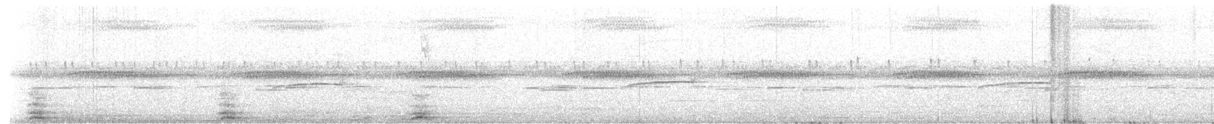 Southern Beardless-Tyrannulet - ML638277160