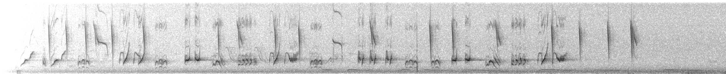 Curve-billed Thrasher (palmeri Group) - ML638277179