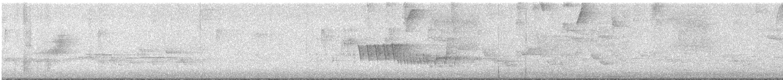 Northern House Wren - ML638277277