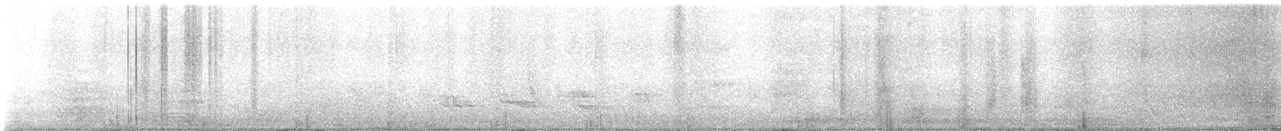 Zozo papargorria - ML638277497