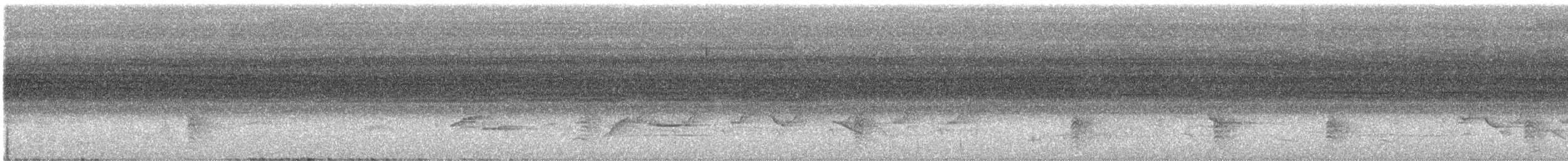 drongo šedobřichý - ML638277948