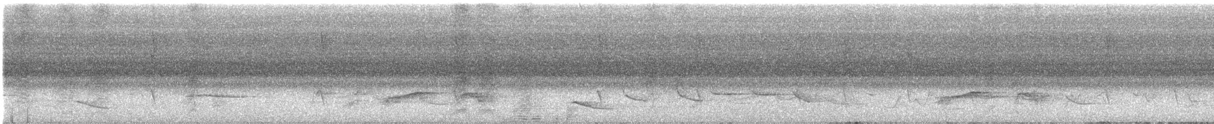 Indian Pitta - ML638277994
