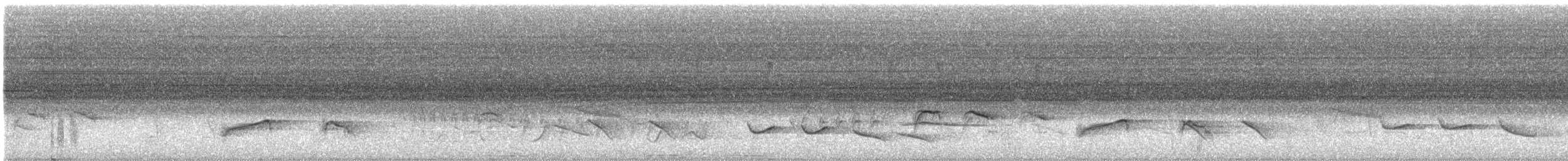 Indian Pitta - ML638278028
