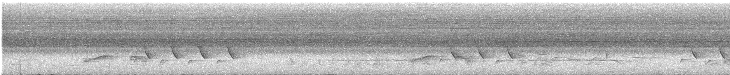 Indian Pitta - ML638278067