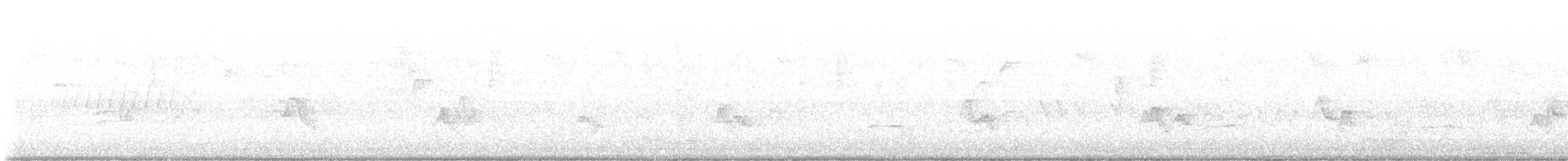 Red-breasted Nuthatch - ML638279613
