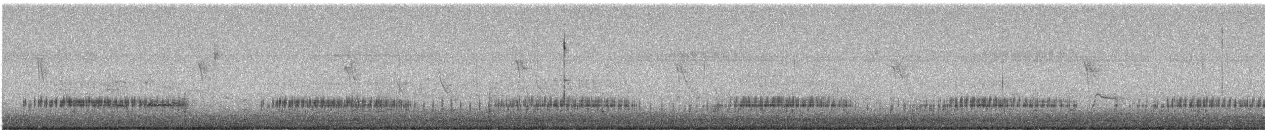 Clark's Grebe - ML638279755