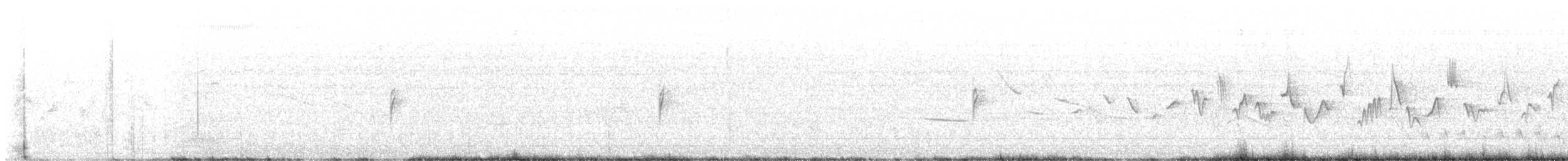 Cactus Wren - ML638280396