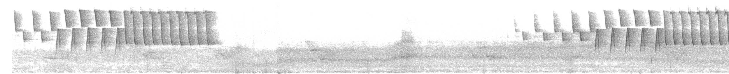 Tennessee Warbler - ML638281022