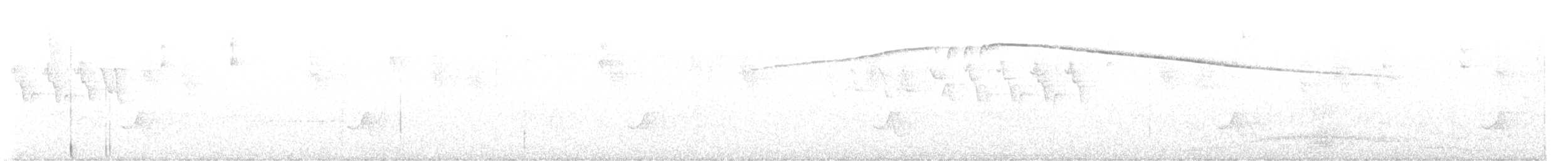 Green-and-black Fruiteater - ML638281359