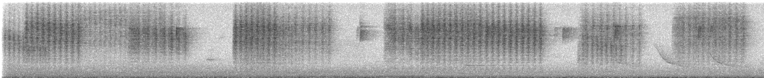 Northern House Wren - ML638281731