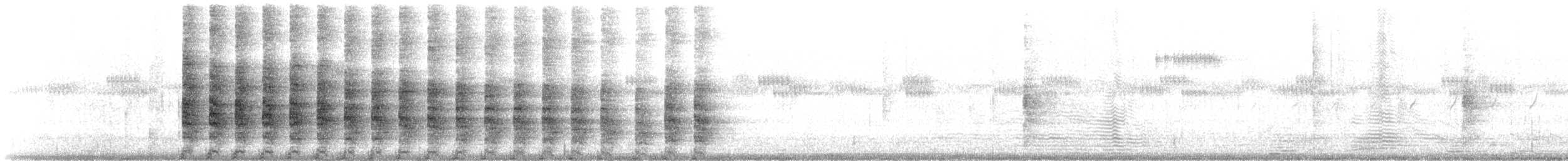 Clapper Rail (Caribbean) - ML638282092