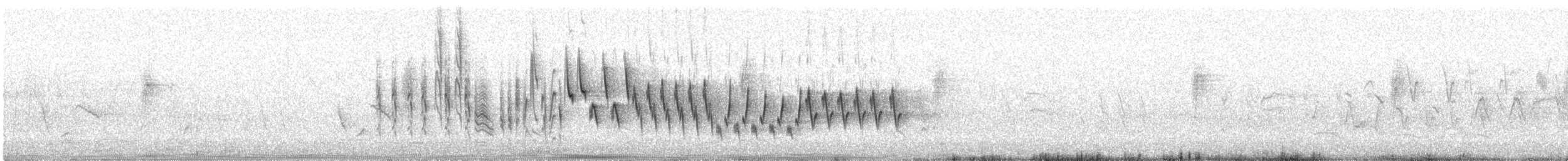 Northern House Wren - ML638282468
