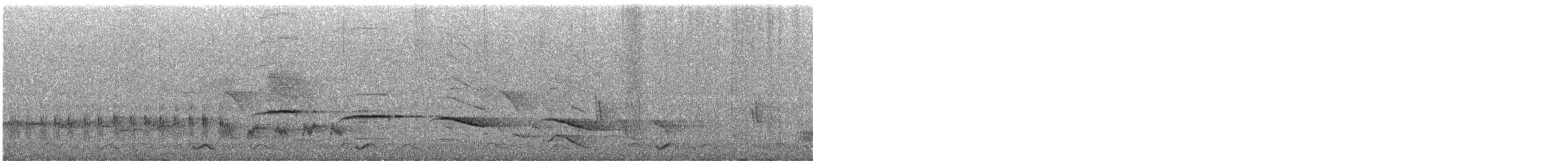 Black-winged Cuckooshrike - ML638282708